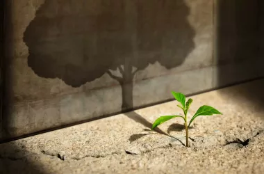 תמונה מעוררת השראה ומוטיבציה של עלה שרוצה לגדול להיות עץ